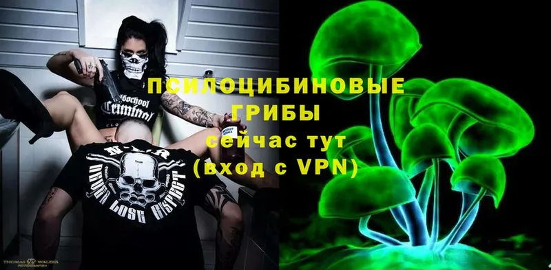 Псилоцибиновые грибы мицелий  Уяр 